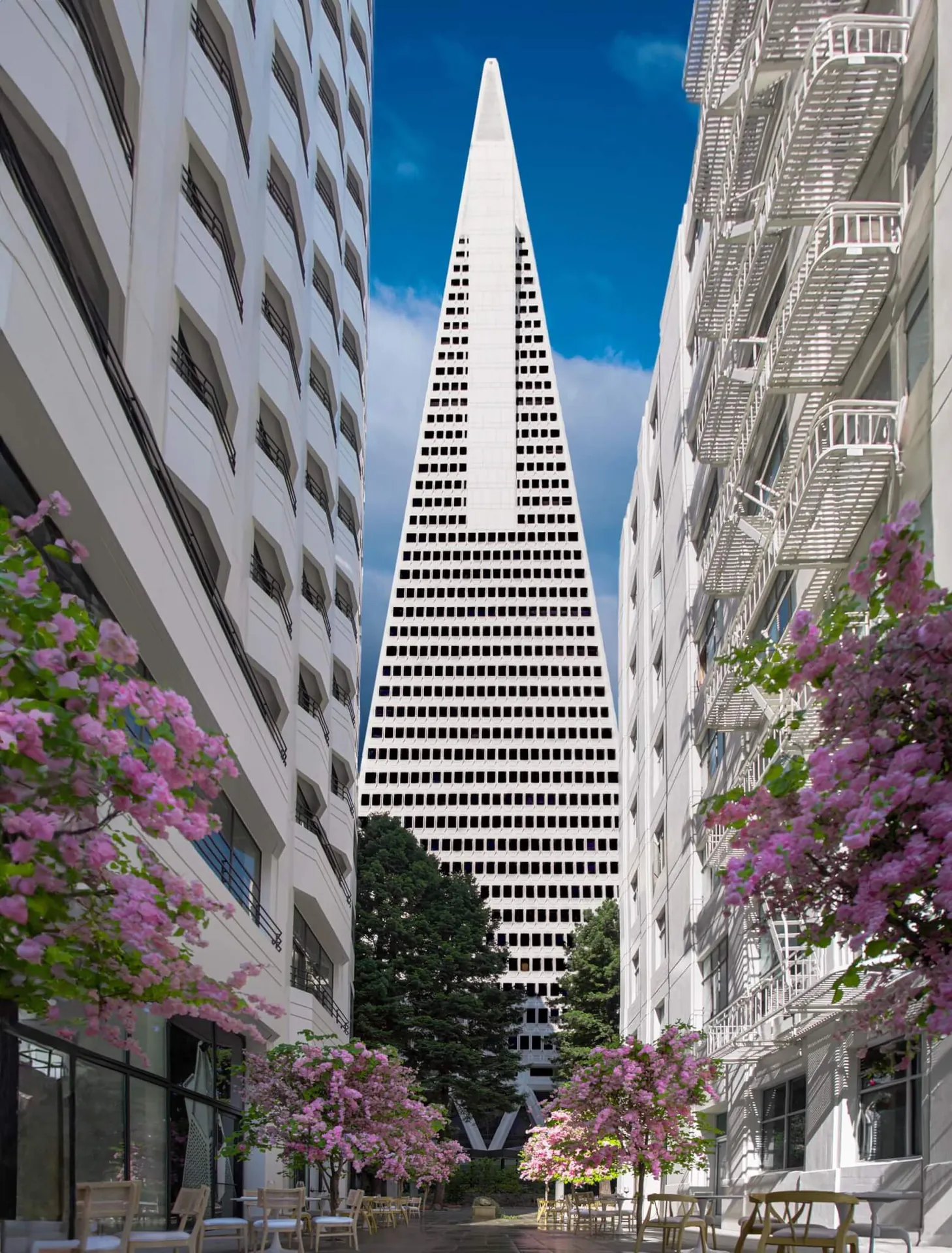 Service Area Downtown Sf