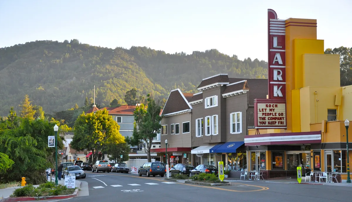 Service Area Larkspur