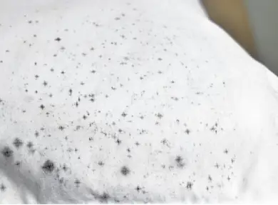 Mold and mildew remediation for clothing