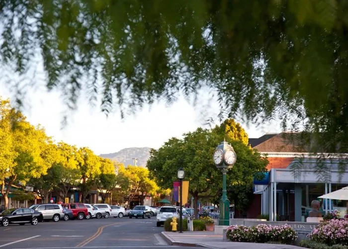 Dry Cleaning in Los Altos 3