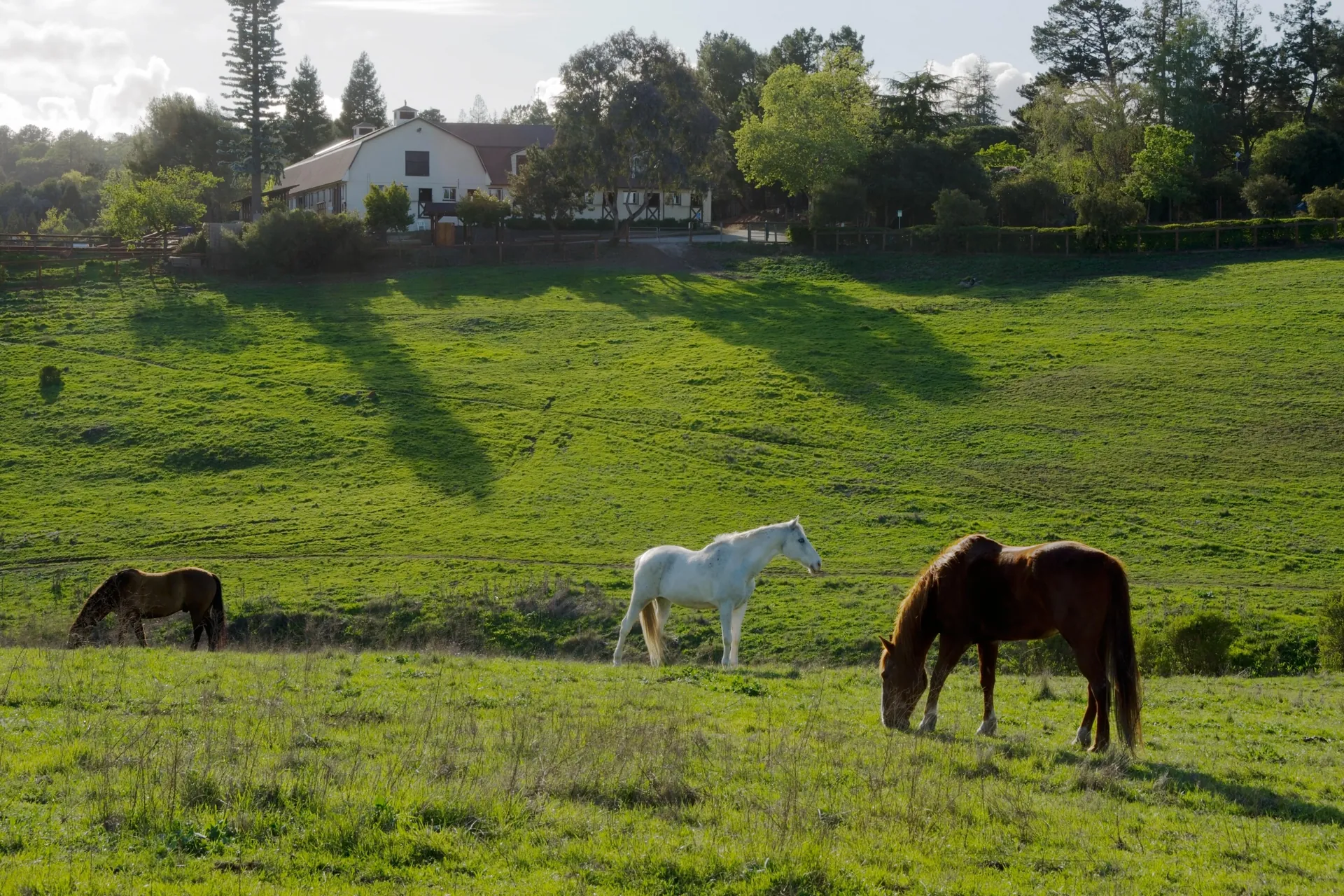 Los Altos Hills, Peninsula & South Bay near Hidden Villa - Alex’s Dry Cleaning Valet