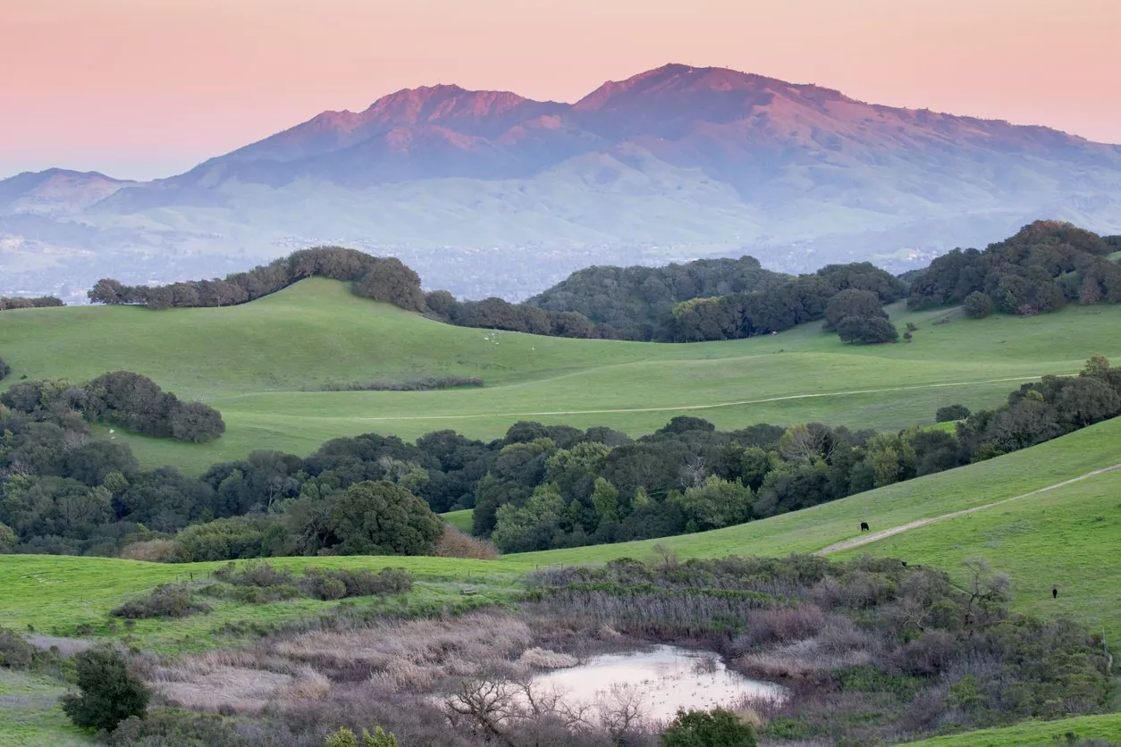 Walnut Creek, CA near Heather Farm Park - Alex’s Dry Cleaning Valet