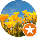 Elizabeth-Cristina Moes profile picture