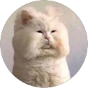 Mariko Nitta profile picture